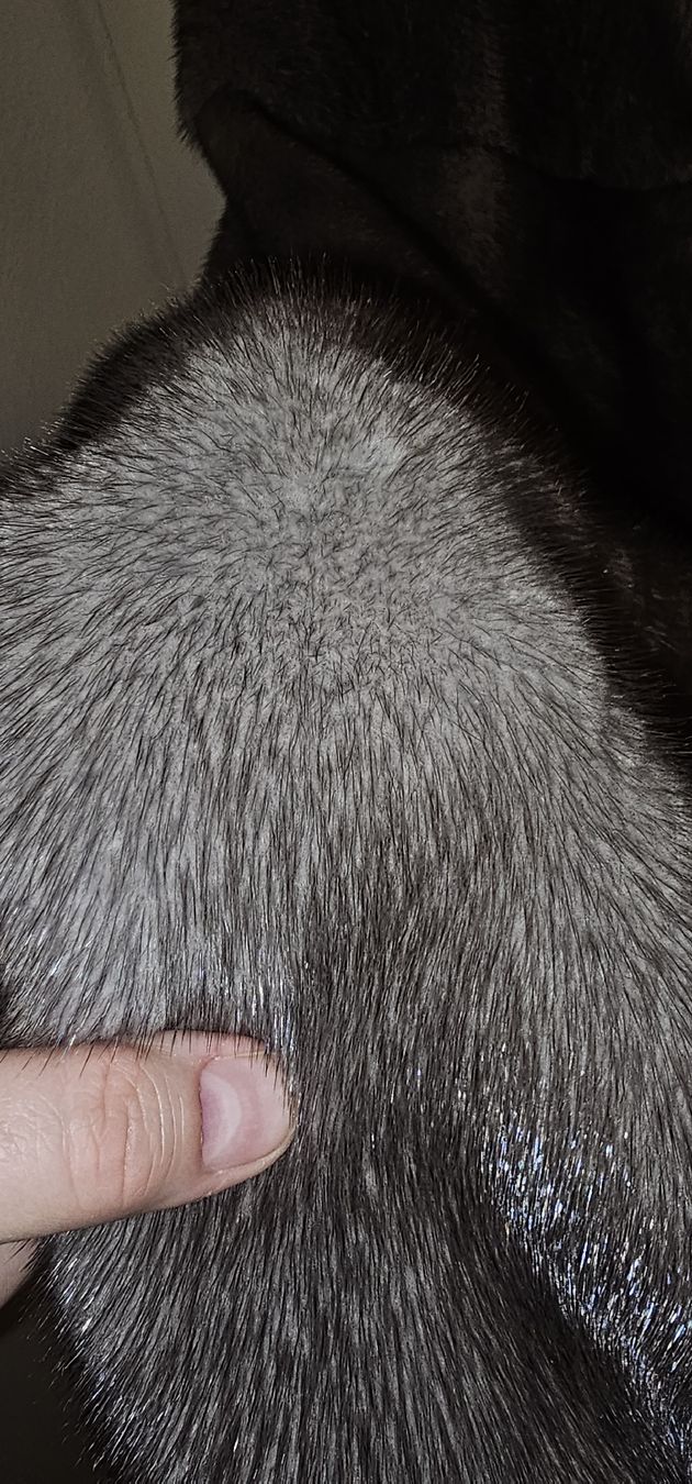 Nerz Mäntel: Nerzmantel – Neu (gemäss Beschreibung) aus Dulliken von Trw_gbp4 6