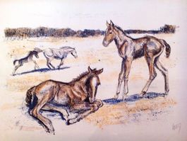 Fritz Hug Farblithographie Pferde signiert 48x33 cm