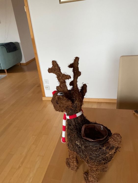 Rudolf das Rentier Kaufen auf Ricardo