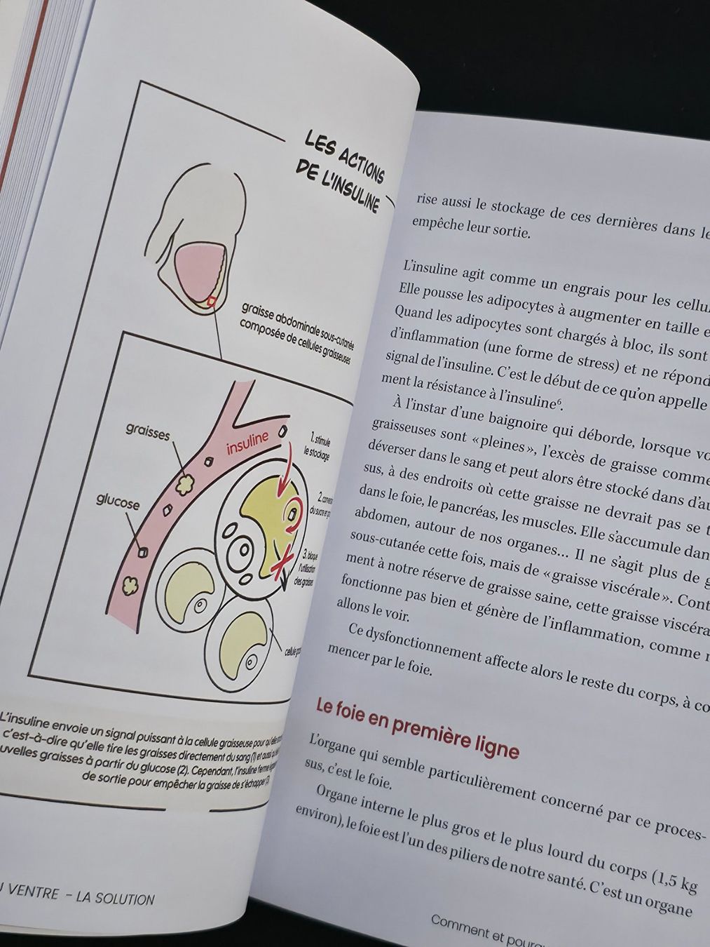 Livres: Gras Du Ventre La Solution JB Rives Thierry Souccar Éditions – Neuf (Voir description) à Montreux par Edelweissgirl_64 5