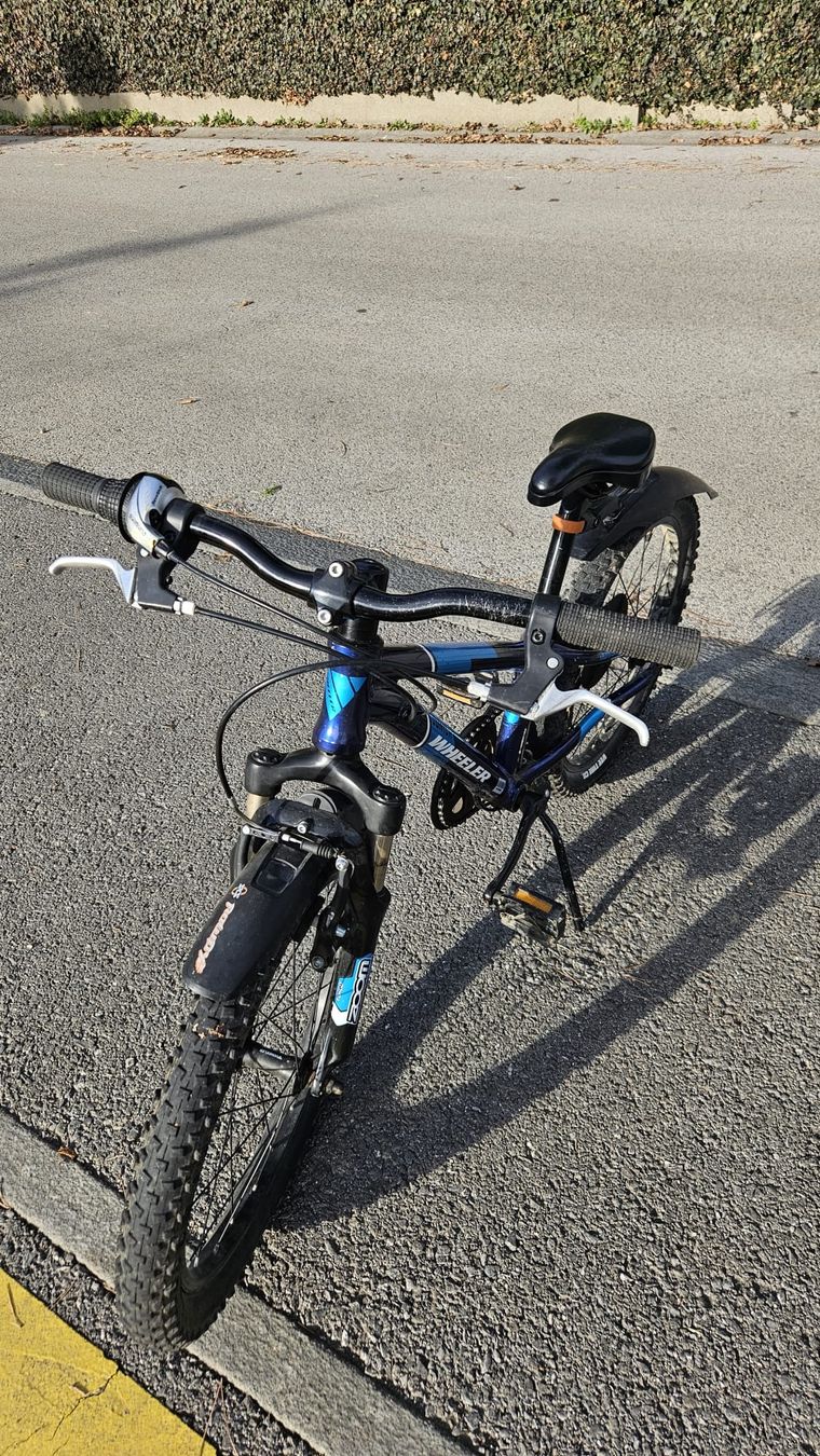 Wheeler Biciclette: Velo enfant Wheeler Junior XT20 – Usato da Thônex venduto da Dg5 7