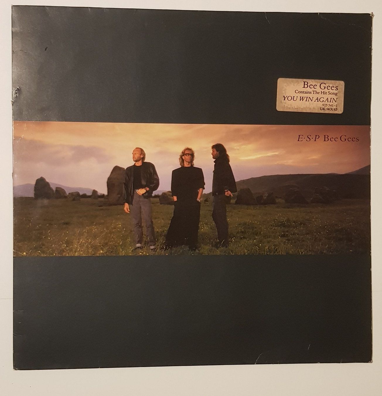 Dischi in vinile: BEE GEES E.S.P 1987 – Usato da Zürich venduto da Avd