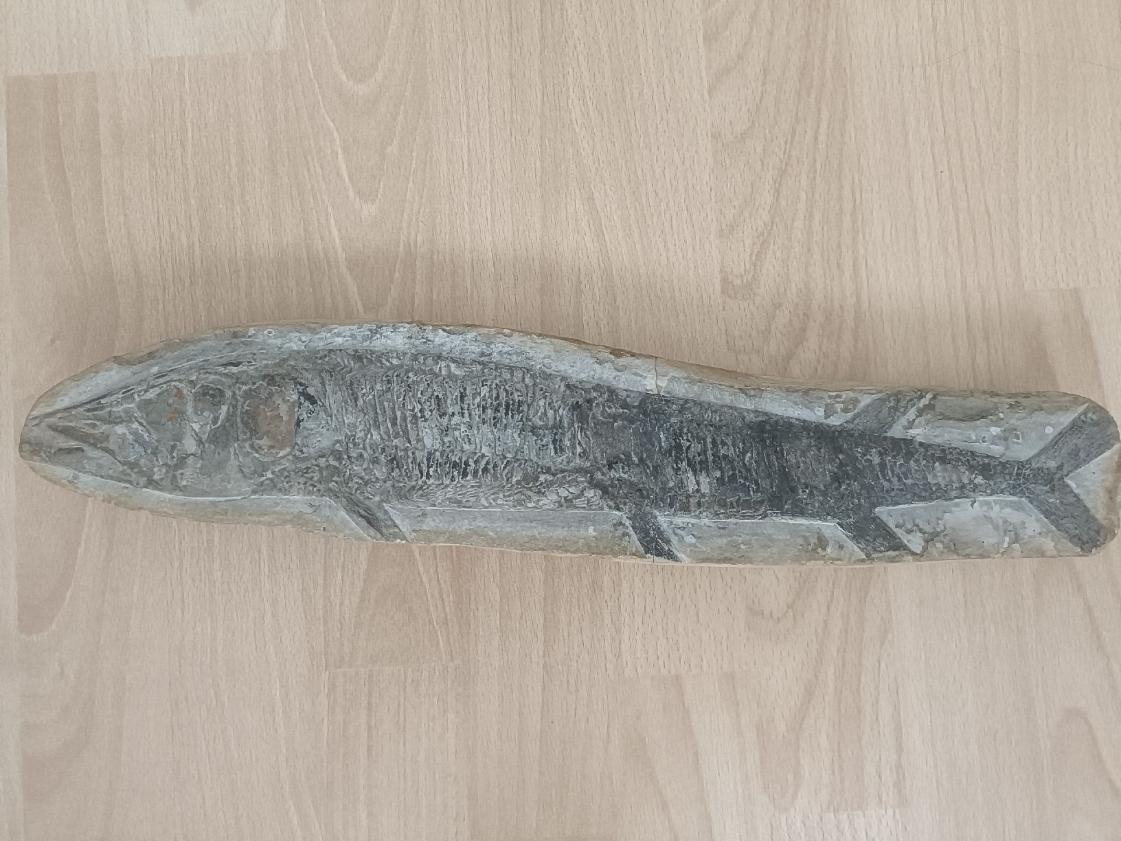 Fossiles: Fossil Fisch – D'occasion à Wettingen par LadyBaba