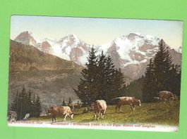 Mürrenbahn-Grütschalp