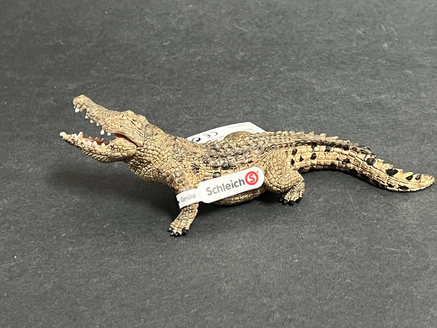 Schleich Statuette: Schleich Tier Krokodil NEU – Nuovo (secondo la descrizione) da Ennetbaden venduto da mapa05 2
