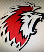 Abonnement LHC place debout saison 26/27