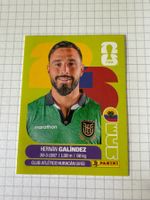 Panini Sticker WM 2026, ECU 2 Hernan Galindez
