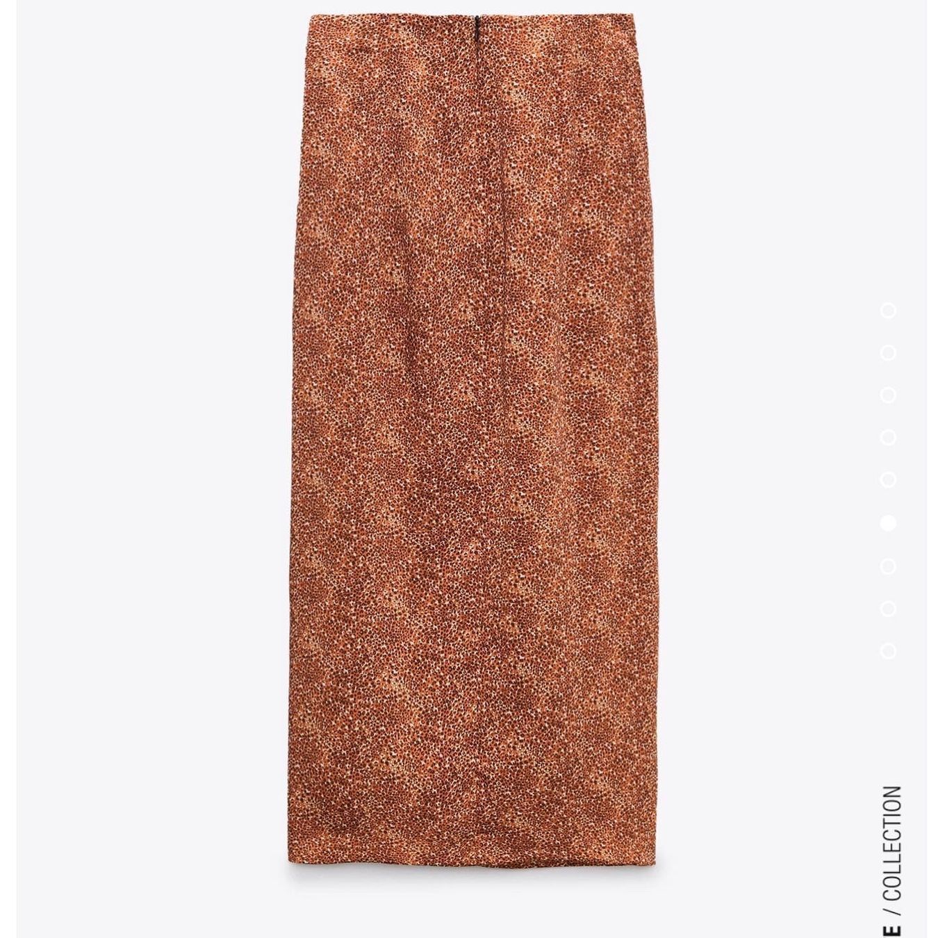 Vestiti & Gonne: Zara skirt – Nuovo (secondo la descrizione) da Opfikon venduto da til_t7ww 1