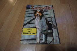 Lassie im Schneesturm, Kinderbuch, 1960!