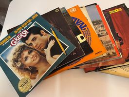 Schallplatten Sammlung: 30 Stück Sammlung 1