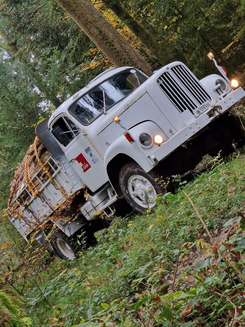 Saurer 2DM (Gebraucht) in Bannwil für CHF 5000 – nur Abholung auf ...