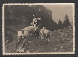 ALPSTEIN - NACH DER ALPFAHRT      (R