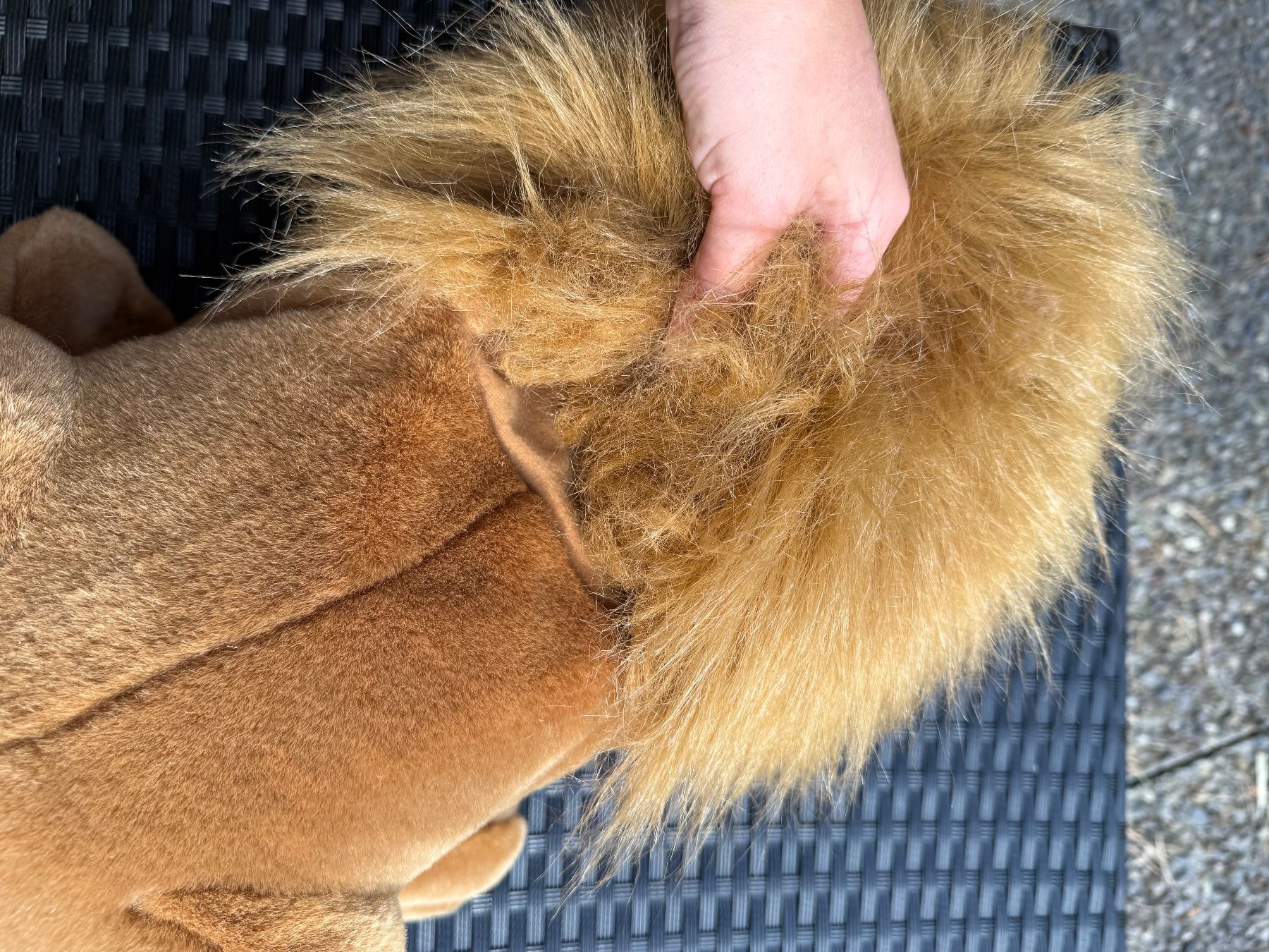Bambole: Folkmanis Handpuppe Löwe – Nuovo (secondo la descrizione) da Unterseen venduto da delago54 2