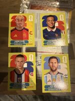 Panini world cup 2026