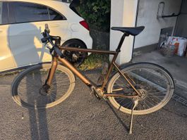 Desiknio X35 Pinion C1.9 E-Bike, Grösse L, fast neuwertig