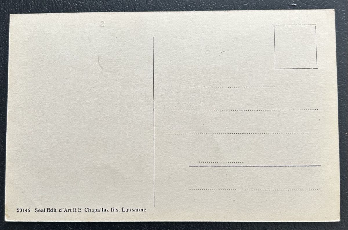 Cartes postales: St.Gingolph Zoll Duanne belebt  – D'occasion à Horw par Tellbub 1