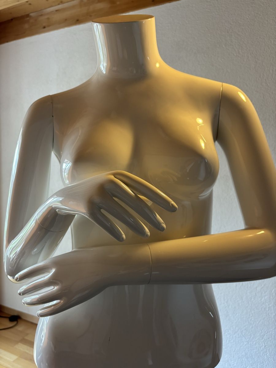 Altro in Decorazioni & Accessori: Schaufensterpuppe Torso – Usato da Watt venduto da Gigge10