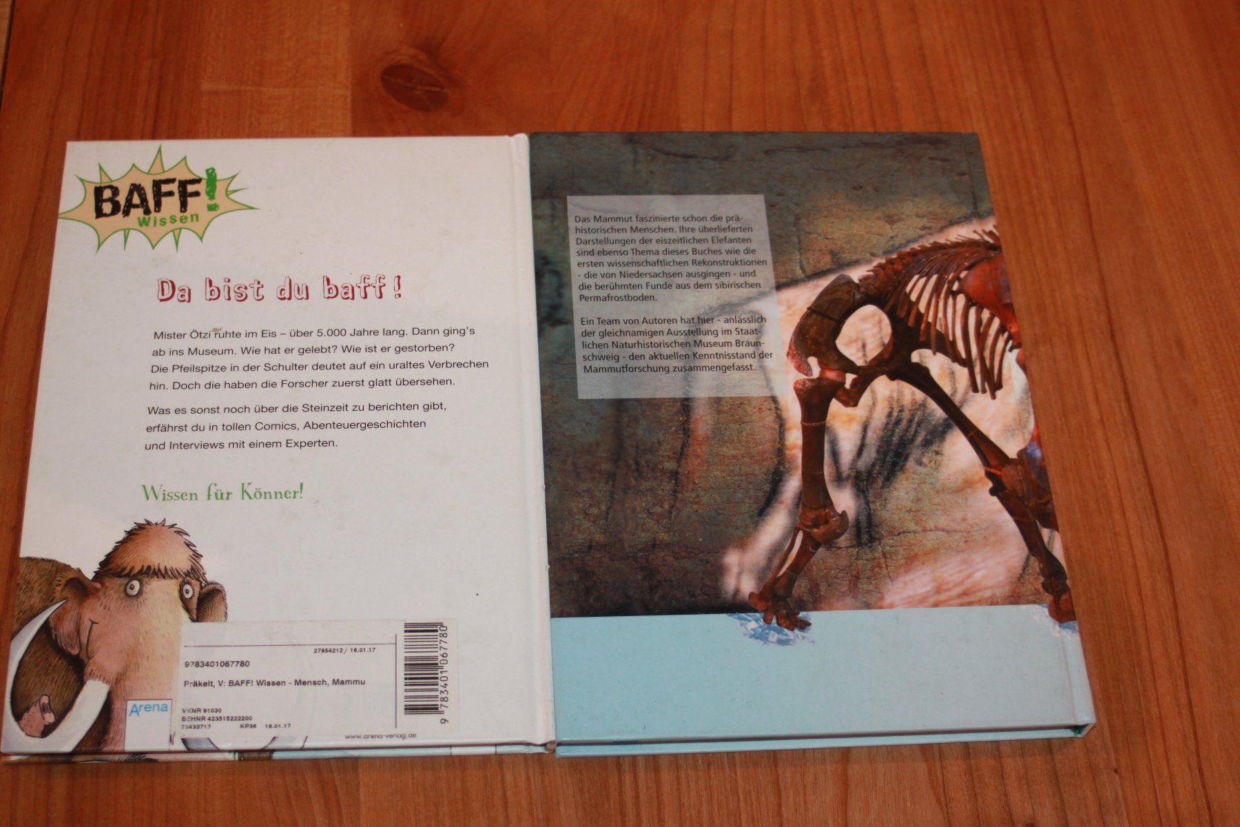 Bücher: 2 Bücher über  das Thema Mammut – Gebraucht aus Wenslingen von Strick4Alpaca 1