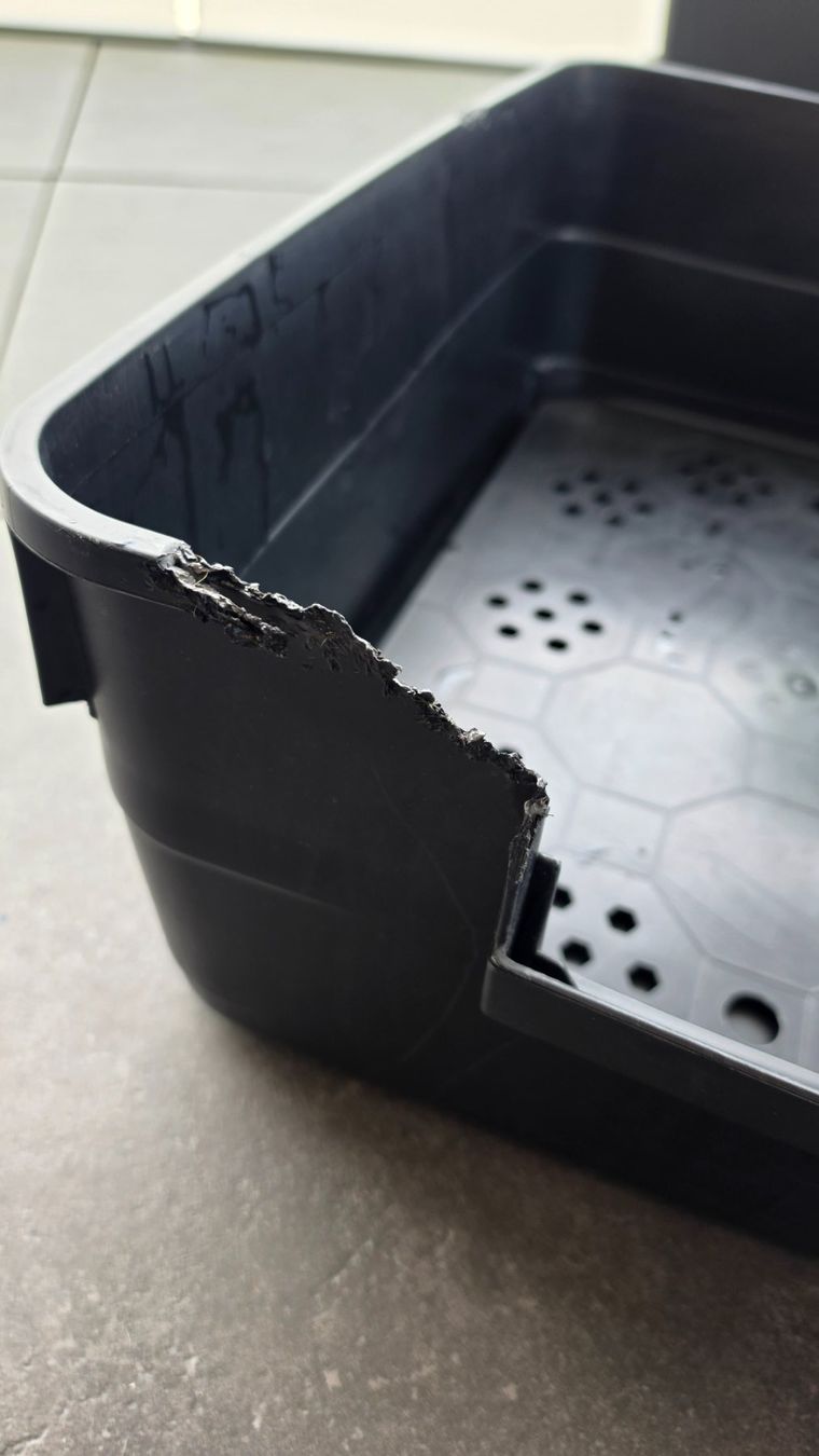 Gabbie, trasporto & Sicurezza: Box/Trasportino cane – Usato da Brissago venduto da fil_t9gk 3