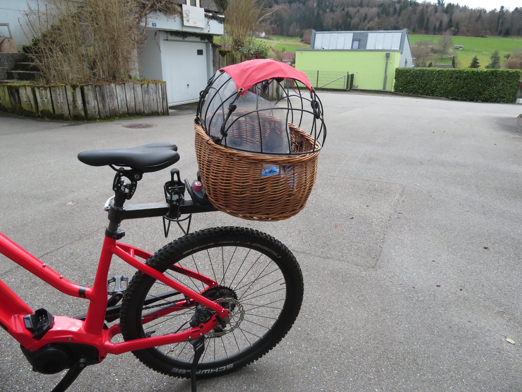 Cucce & Letti: Hunde Velokorb mit Thule Click-Fix Rack – Usato da Hirschthal venduto da specpro 2