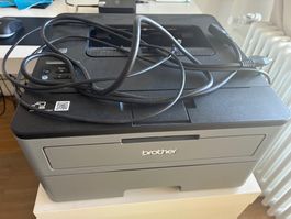 brother Drucker (Modell HL-L2350DW)