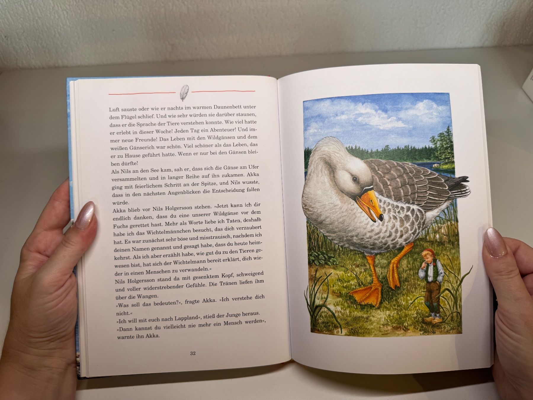 Libri: BUCH: Selma Lagerlöf, Nils Holgerssons wunderbare Reise – Usato da Grosswangen venduto da Kleine.Knoepfe 6