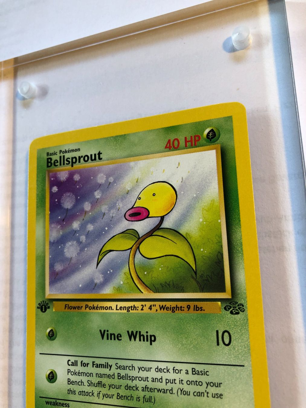 Cartes à collectionner: Bellsprout 1st Jungle - NM - ab 1.- – D'occasion à Giubiasco par dan_pr8b 3
