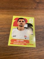 Panini Irq 15