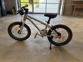 Early Rider 16