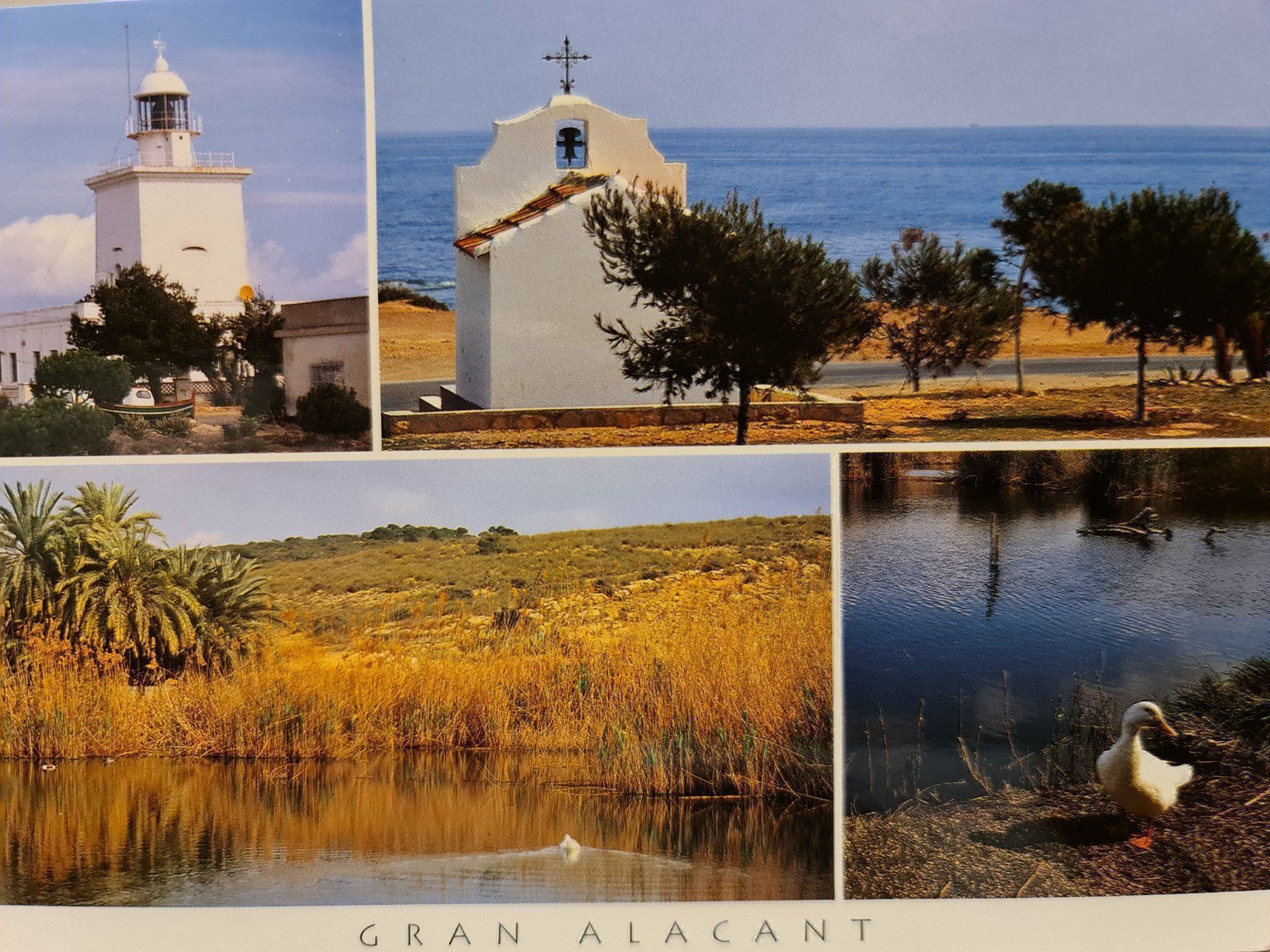 Cartoline postali: Postkarte Gran Alacant Costa Blanca – Usato da Dintikon venduto da Vexi