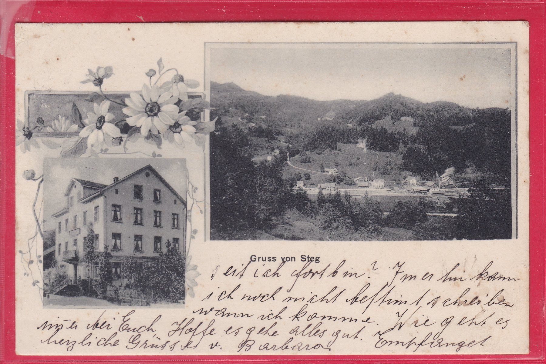 Ansichtskarten: GRUSS VON STEG, 29.5.1914 – Gebraucht aus Oberrieden von Gebirgsstelze