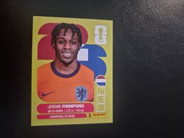 Panini WM 26 NED 8