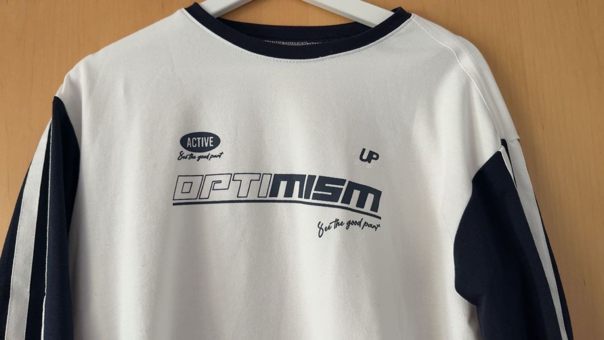 Pulls & Sweat-shirts: Sweater Damen – D'occasion à Wilen (Sarnen) par aninaschwab 1