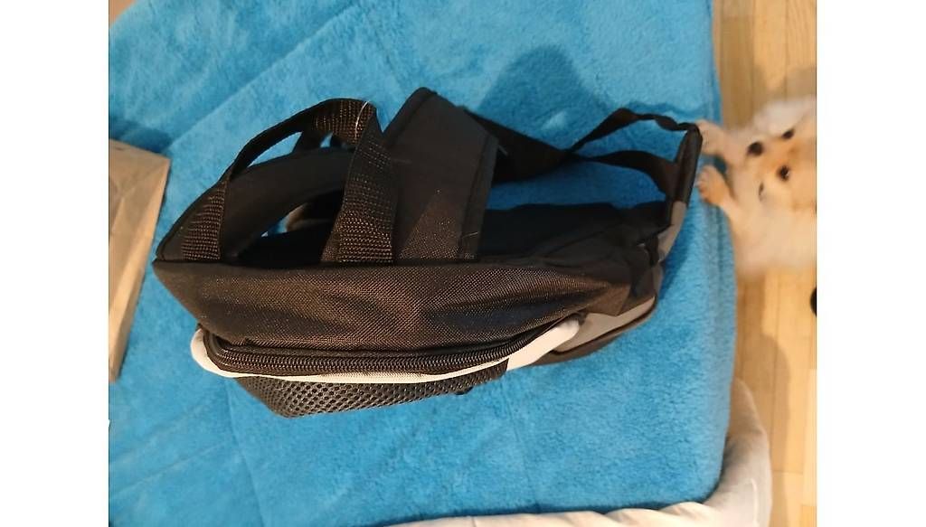 Rucksäcke: Vendo zainetto cane – Gebraucht aus Chiasso von Lucetta76 1