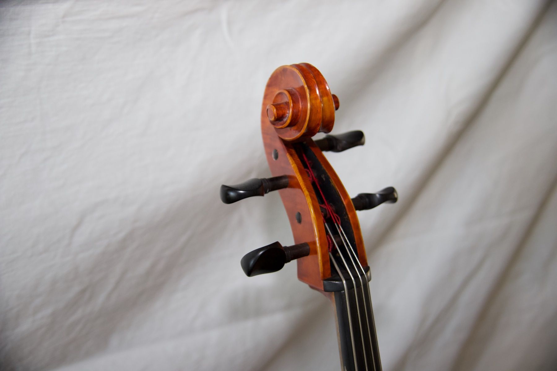 Strumenti musicali: Cello 1/2 – wunderschöner Klang, professionell eingestellt – Usato da Adliswil venduto da Doubleglass 5
