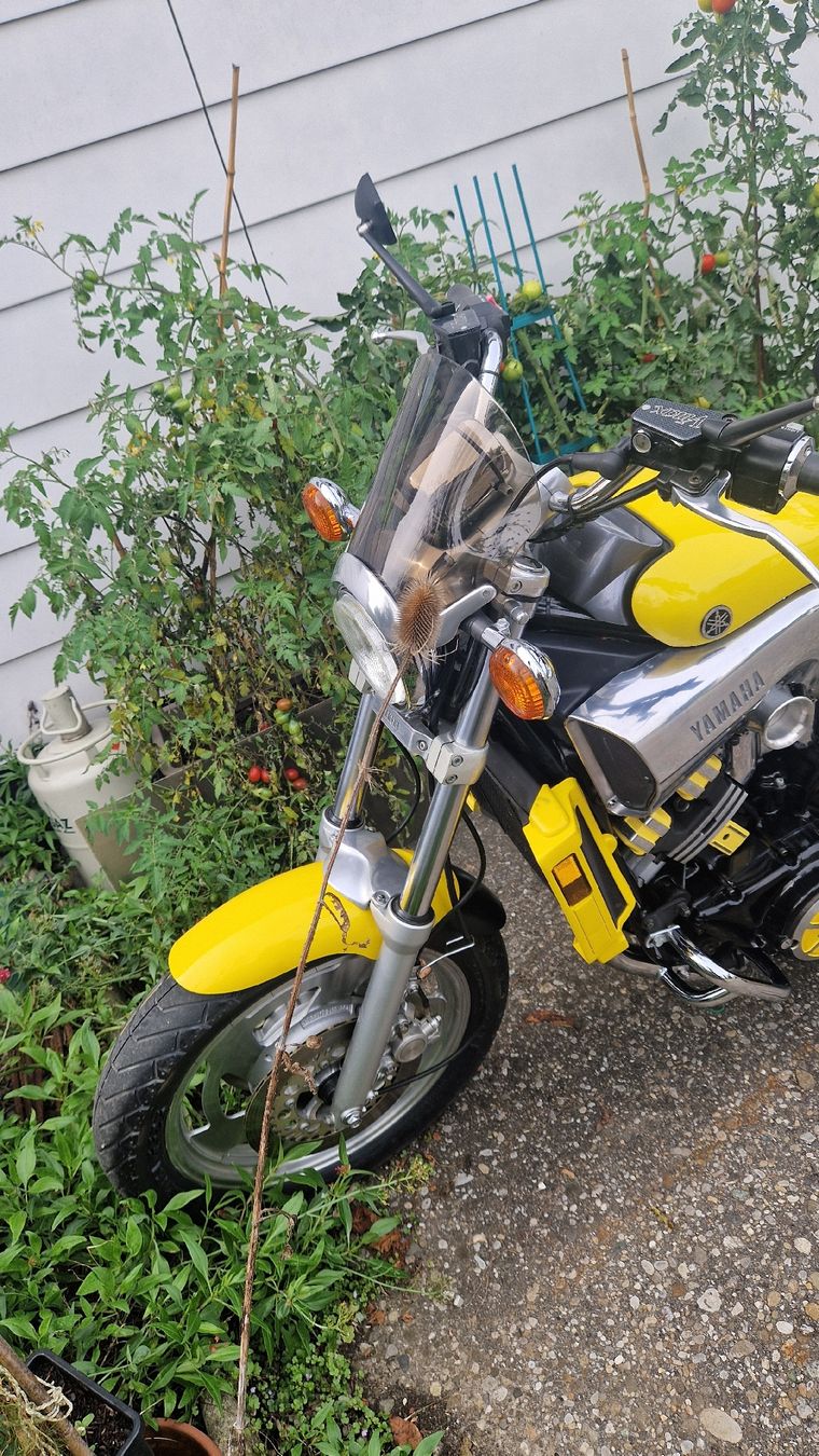 Altro: Yamaha 1200 V-MAX EGLI – Usato da Biberist venduto da Andrert 5