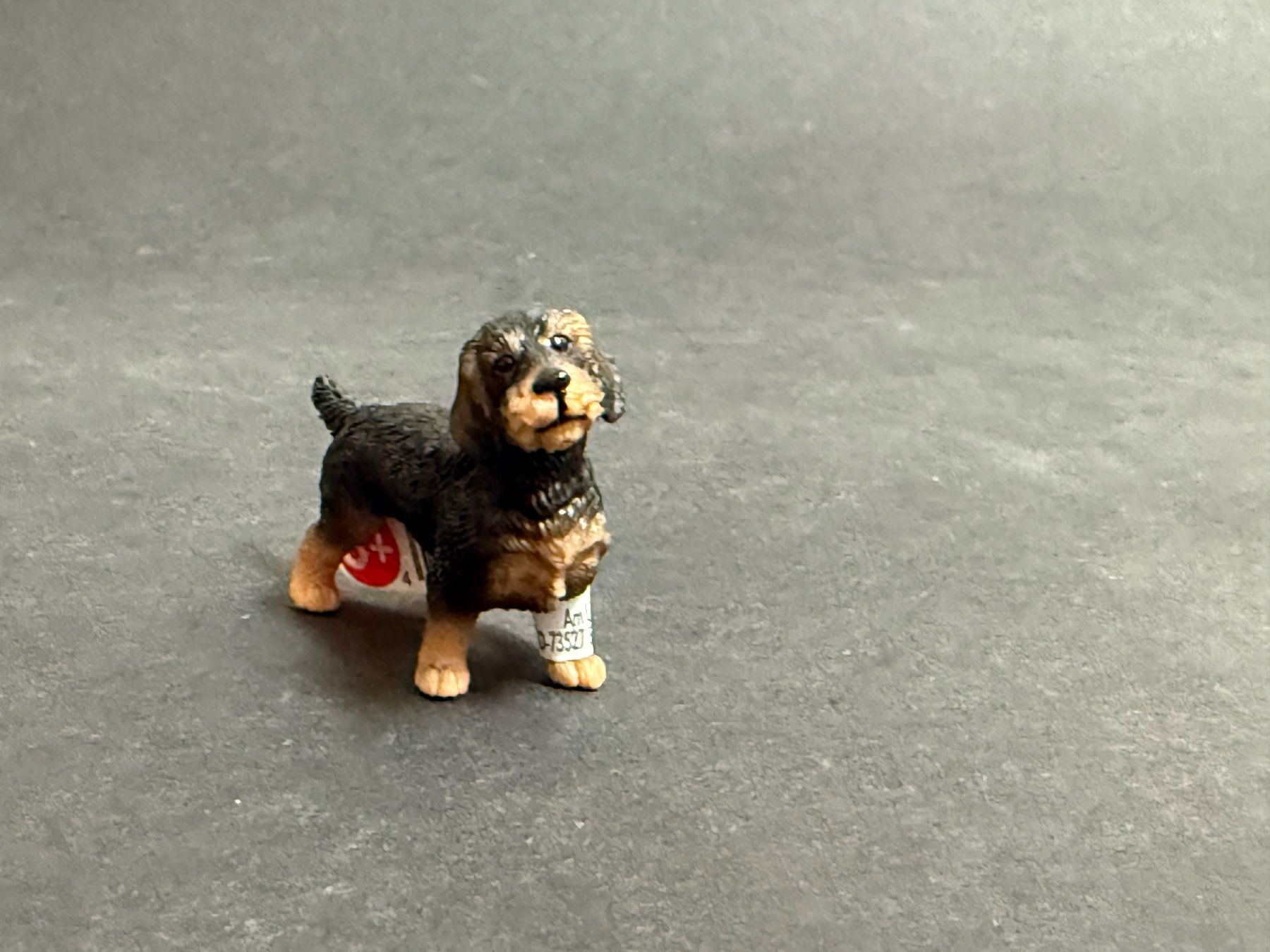 Schleich Statuette: Schleich Rauhaardackel Hund – Nuovo (secondo la descrizione) da Ennetbaden venduto da mapa05 4
