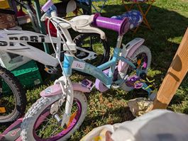 Vélo Enfant - Reine des Neiges 