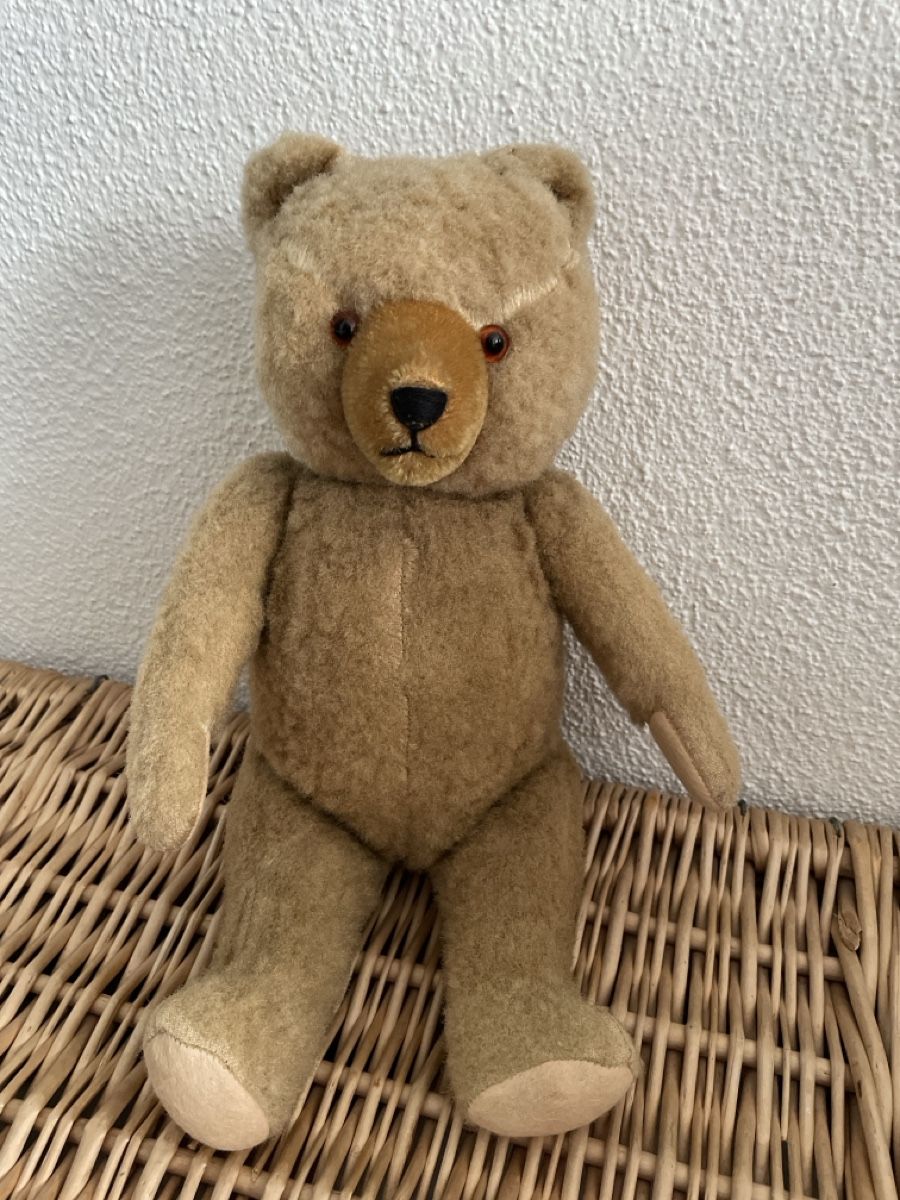 Giocattoli: Alter Teddy Bär – Usato da Emmenbrücke venduto da miz_9kht 2