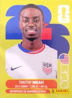 Panini FIFA World Cup USA 12