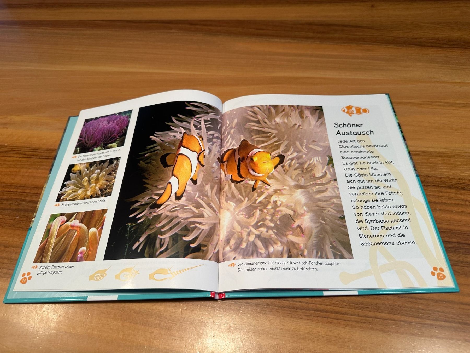 Bücher: Buch "Der Clownfisch" von esslinger – Gebraucht aus Urdorf von ARJN 1