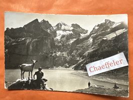 1941 Kandersteg. Oeschinensee Blümlisalp. Postkarte mit Zieg