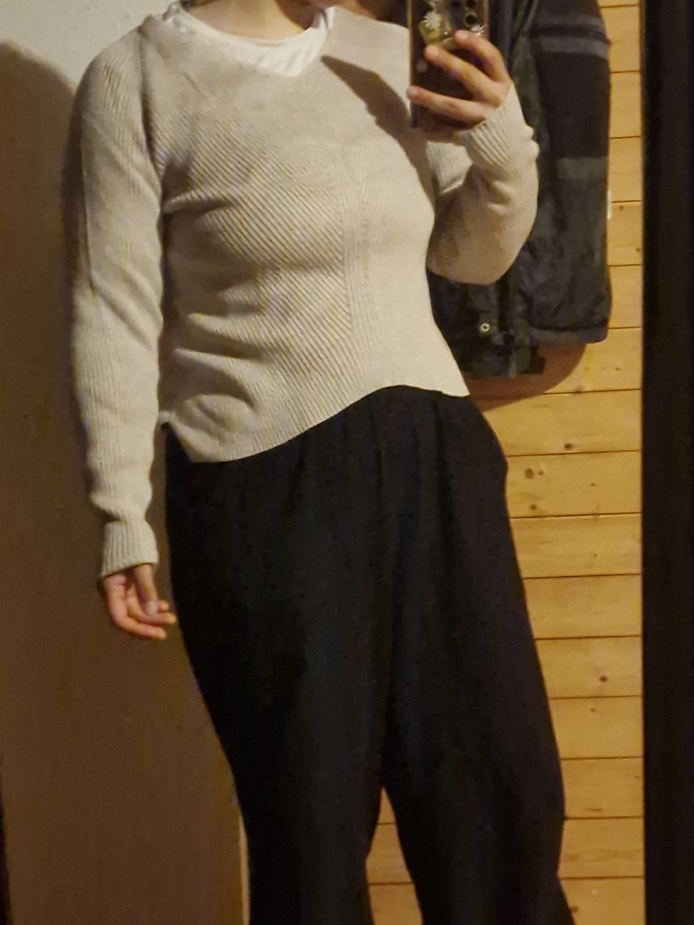 Pullover & Sweatshirts: Pullover – Gebraucht aus Wil SG von zeh_pck9