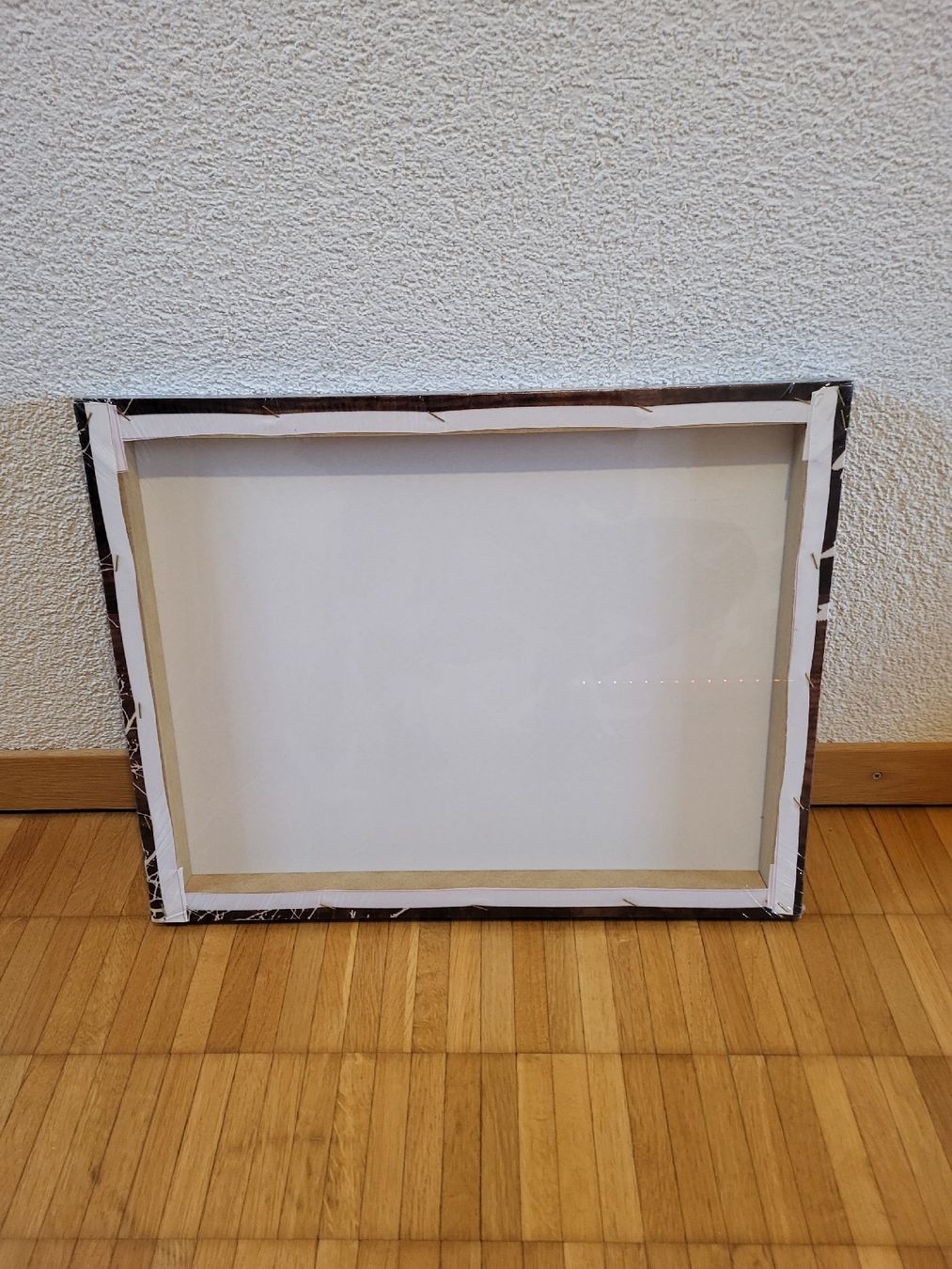 Foto & Immagini: Leinwand Bild Vögel 50/40 – Nuovo e nell'imballaggio originale da Riniken venduto da Melanie910 1