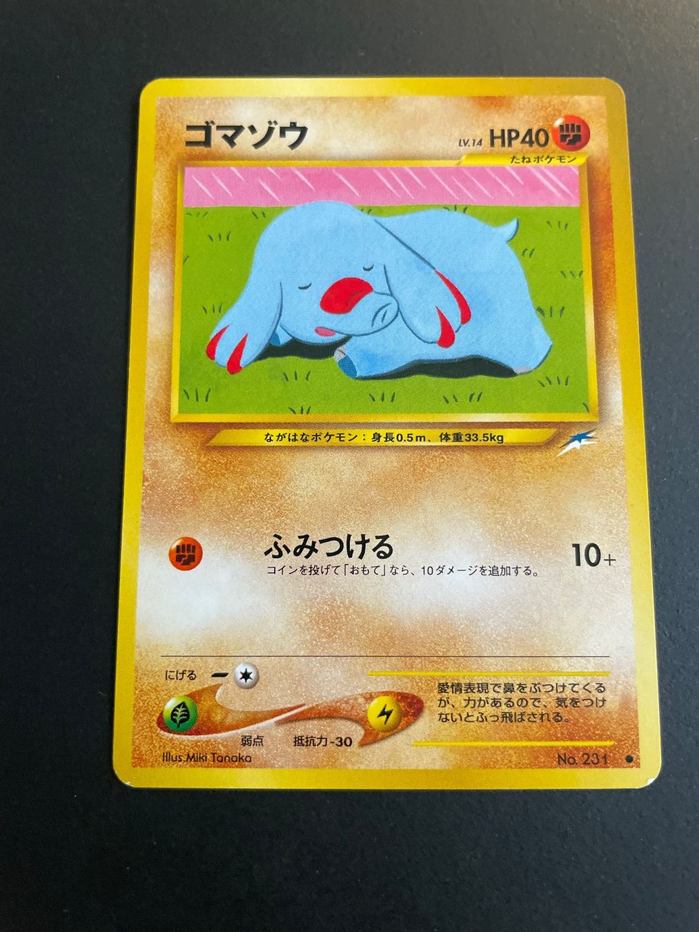 Pokémon Carte collezionabili: Phanpy No.231 Neo Destiny – Usato da Zürich venduto da pokemon_cards