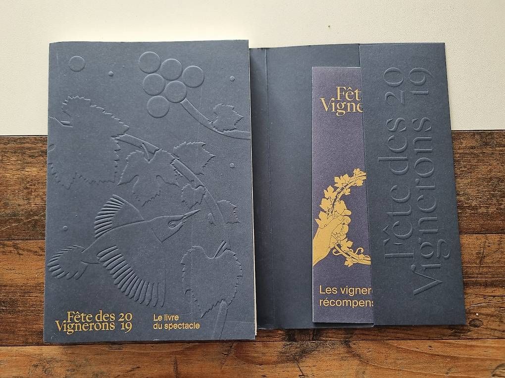Libri: Fete des vignerons 2019 – Usato da Neuchâtel venduto da AlexCzh 1