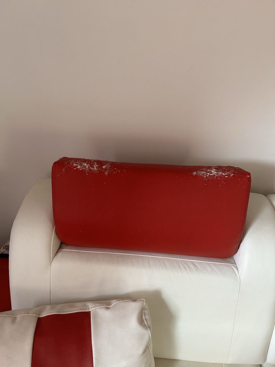 Divani: Echt Leder Sofa – Usato da Wolfhausen venduto da eil_jc5j 6