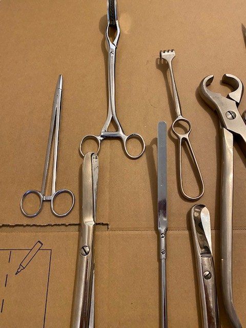 Swiss Tutti gli attrezzi: LOT TIERARZT  INSTRUMENTE – Usato da Chur venduto da silbermon 2