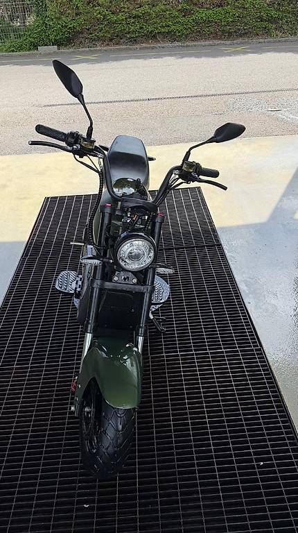 Scooter: Super Angebot City Max RS Pro – Usato da Winterthur venduto da Sebiha01 1