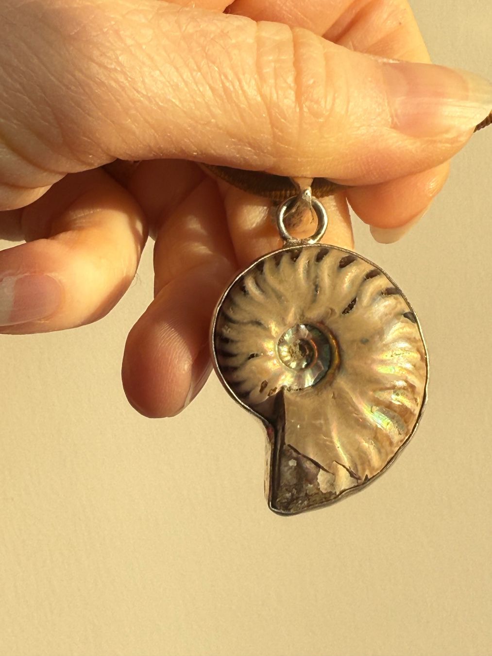 Ciondoli: Nautilus Anhänger mit Kette NEU – Nuovo e nell'imballaggio originale da Basel venduto da Chili007 1